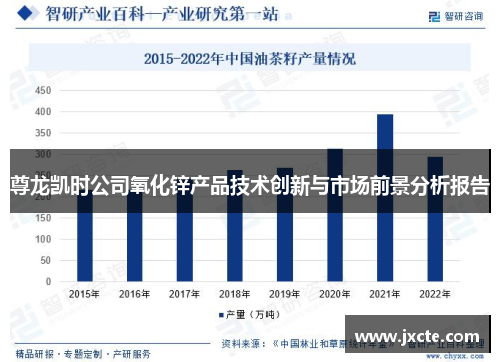 尊龙凯时公司氧化锌产品技术创新与市场前景分析报告